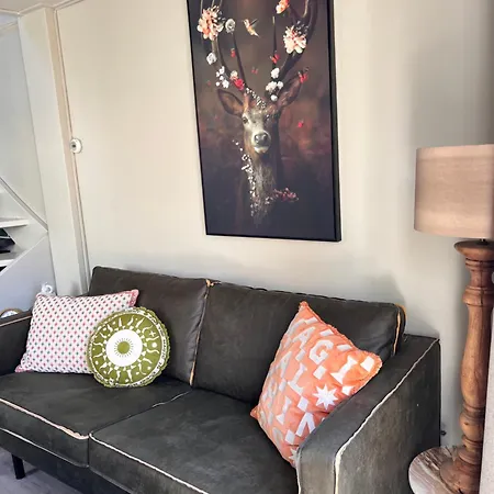 Beachhouse Noteboom, Omheinde Tuin Noordwijk